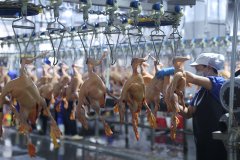 <b>鞭策贵阳（贵安）长顺落地</b>