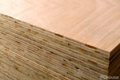 应留意板材概况单板取基材之间、基材内部各层