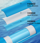 近二十年的成长汗青