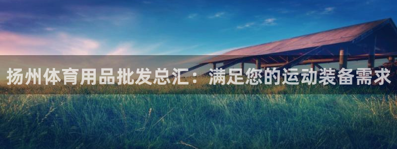 欧陆娱乐怎么样：扬州体育用品批发总汇：满足您的运动装