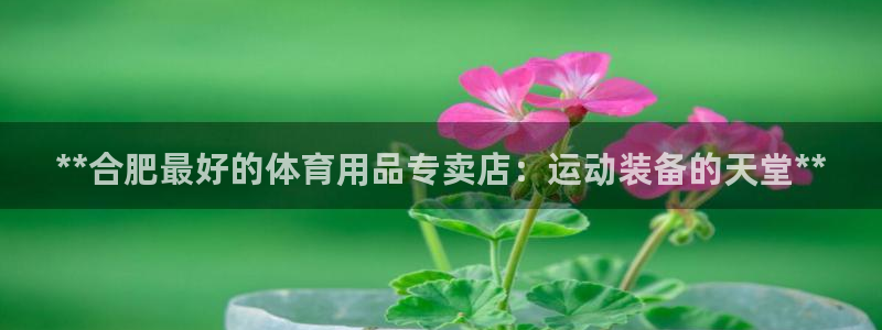 欧陆娱乐登陆平台：**合肥最好的体育用品专卖店：运动