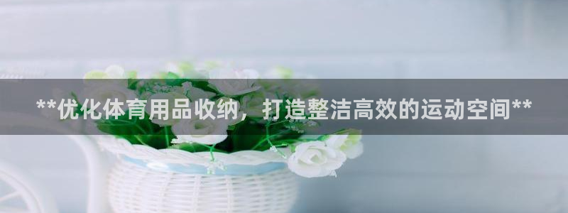欧陆娱乐平台登陆地址是什么：**优化体育用品收纳，打