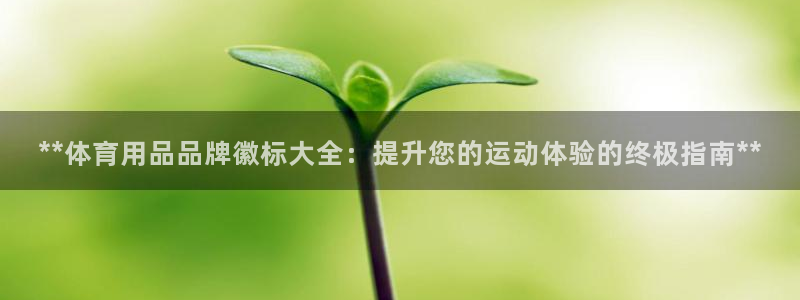重庆欧陆娱乐有限公司地址：**体育用品品牌徽标大全：