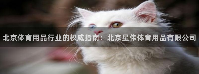 欧陆娱乐挂机怎么玩游戏