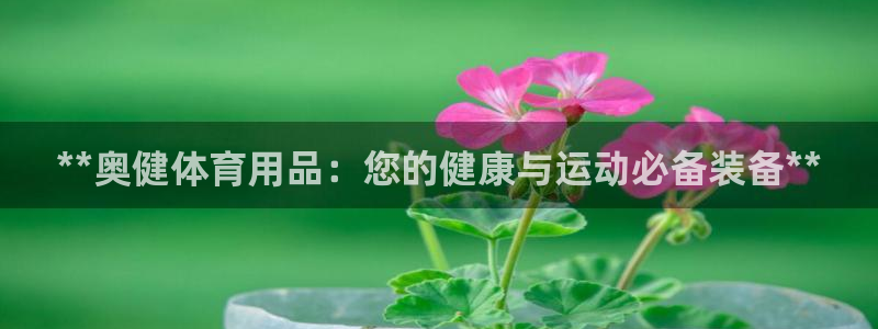 欧陆娱乐平台登陆地址在哪改：**奥健体育用品：您的健
