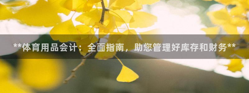 欧陆娱乐是资金盘吗：**体育用品会计：全面指南，助您