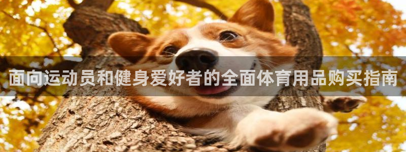 欧陆娱乐客服电话：面向运动员和健身爱好者的全面体育用