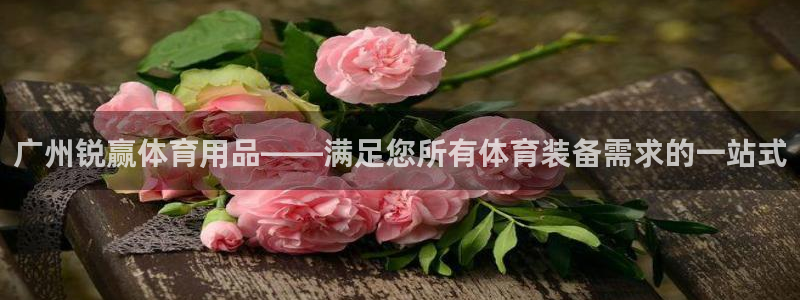 欧陆娱乐登录注册平台官网：广州锐赢体育用品——满足您