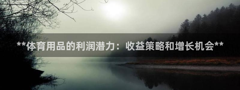 欧陆娱乐平台咋样赚钱：**体育用品的利润潜力：收益策