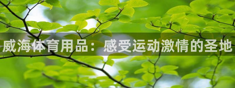 欧陆娱乐打什么方案赚钱：威海体育用品：感受运动激情的