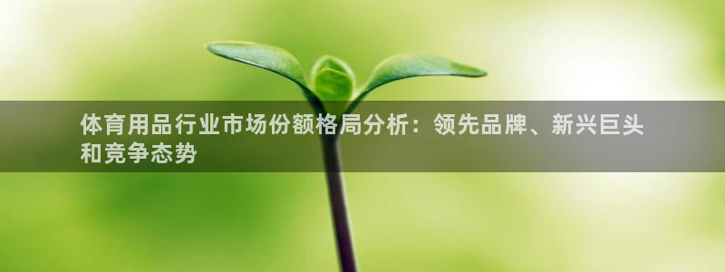 欧陆娱乐注册链接安全吗可靠吗：体育用品行业市场份额格