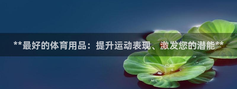 欧陆娱乐登陆平台官网：**最好的体育用品：提升运动表