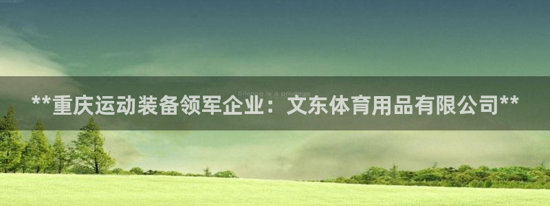 欧陆公司在哪里：**重庆运动装备领军企业：文东体育用