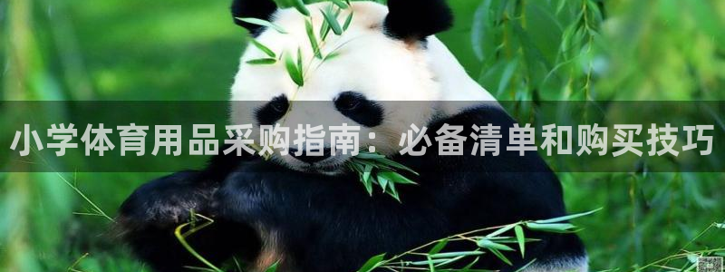 欧陆娱乐平台登录不上怎么回事：小学体育用品采购指南：