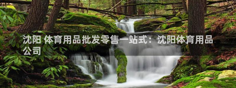 欧陆娱乐app攻略下载：沈阳 体育用品批发零售一站式