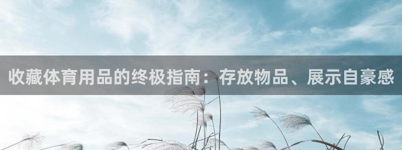 欧陆娱乐注册链接安全吗是真的吗：收藏体育用品的终极指