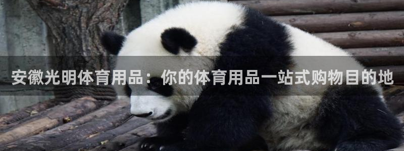 欧陆娱乐官网网址大全：安徽光明体育用品：你的体育用品