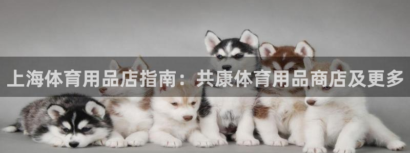 欧陆娱乐挂机项目：上海体育用品店指南：共康体育用品商