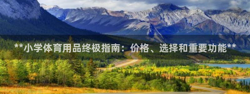 欧陆娱乐平台登录不上去：**小学体育用品终极指南：价