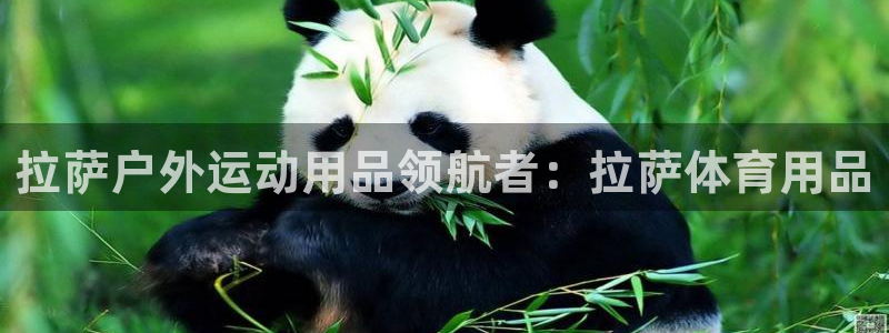 欧陆娱乐挂机怎么玩：拉萨户外运动用品领航者：拉萨体育
