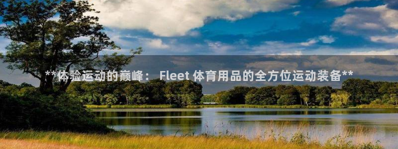 欧陆娱乐平台登录不上去：**体验运动的巅峰： Fle