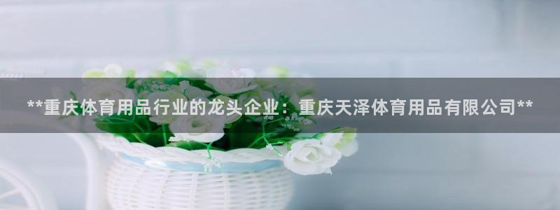 欧陆娱乐累计盈利多少就会被劝退呢：**重庆体育用品行