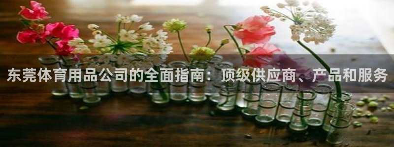 欧陆娱乐登录注册平台官网：东莞体育用品公司的全面指南