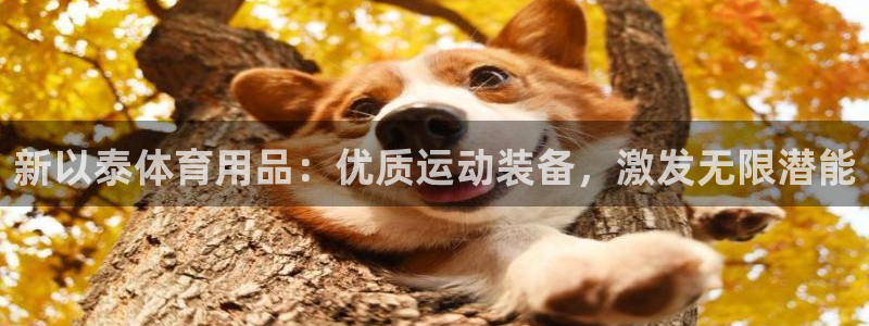 欧陆娱乐官网首页入口：新以泰体育用品：优质运动装备，