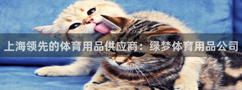 欧陆娱乐注册链接安全吗：上海领先的体育用品供应商：绿