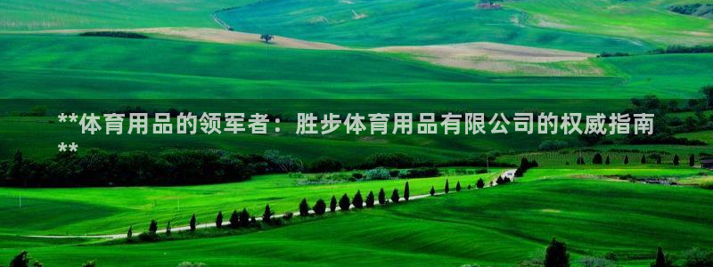欧陆娱乐登录官网入口：**体育用品的领军者：胜步体育