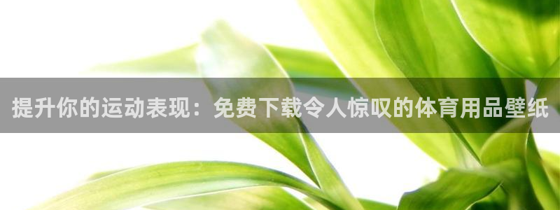 欧陆娱乐注册代理多少钱啊：提升你的运动表现：免费下载
