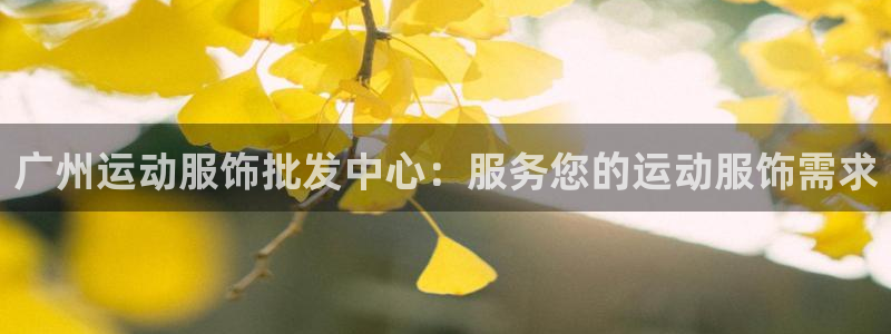 欧陆娱乐平台优势：广州运动服饰批发中心：服务您的运动