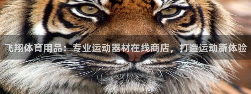 欧陆娱乐注册链接：飞翔体育用品：专业运动器材在线商店