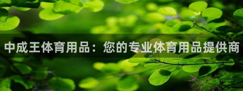 欧陆娱乐注册代理多少钱啊：中成王体育用品：您的专业体