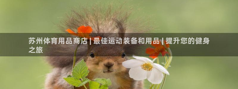 欧陆娱乐招商主管：苏州体育用品商店 | 最佳运动装备