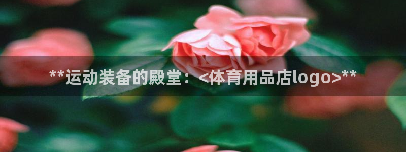 欧陆娱乐平台登录不上怎么回事：**运动装备的殿堂：<