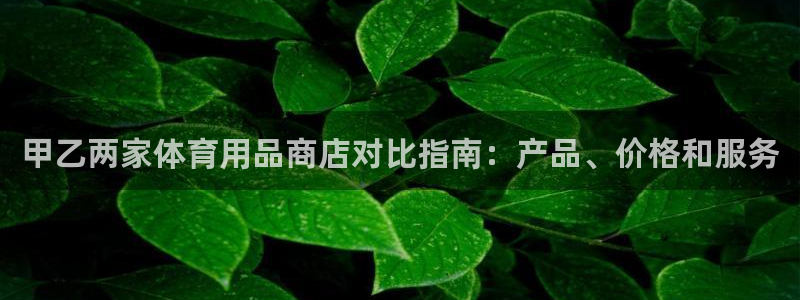 欧陆娱乐计划app官方正版安装下载：甲乙两家体育用品