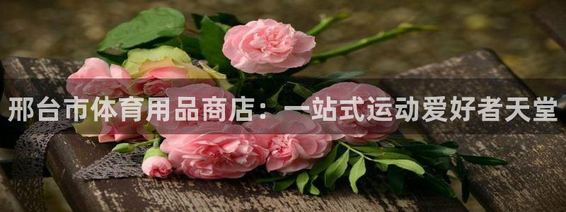 欧陆娱乐太阳：邢台市体育用品商店：一站式运动爱好者天