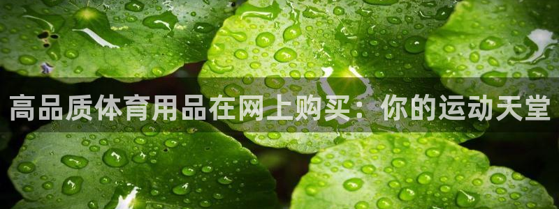 欧陆娱乐app下载：高品质体育用品在网上购买：你的运