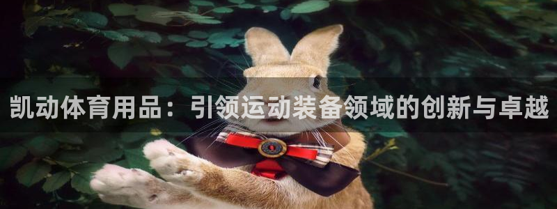 欧陆娱乐平台登录不上怎么办：凯动体育用品：引领运动装