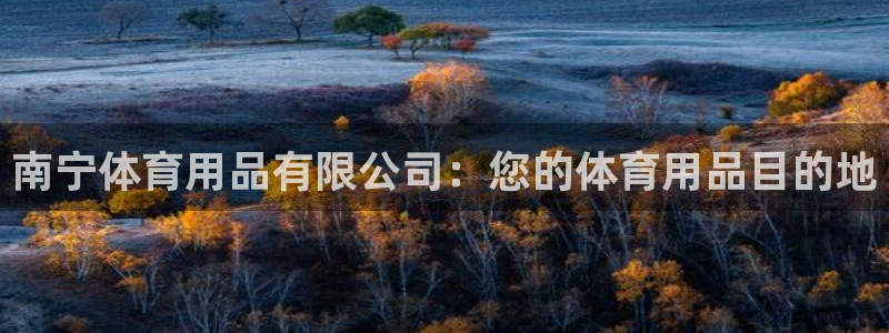 欧陆娱乐信誉吗：南宁体育用品有限公司：您的体育用品目