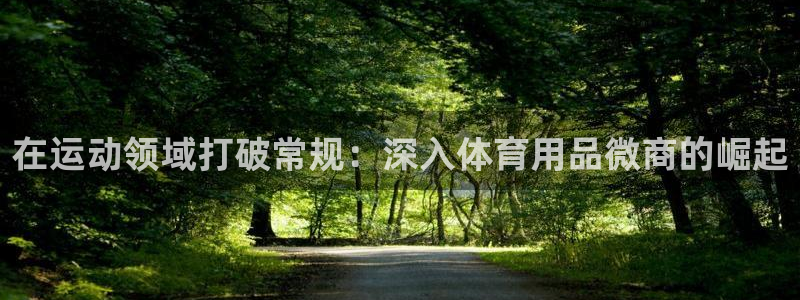 欧陆娱乐代理多少个点位合适：在运动领域打破常规：深入
