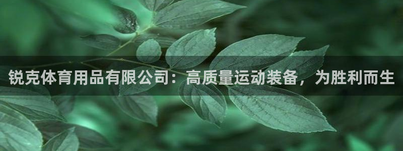 欧陆娱乐客服服务怎么样：锐克体育用品有限公司：高质量