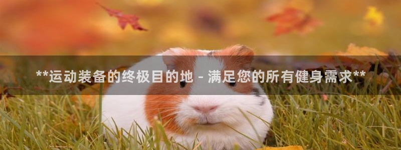 欧陆娱乐怎么注册会员号：**运动装备的终极目的地 -