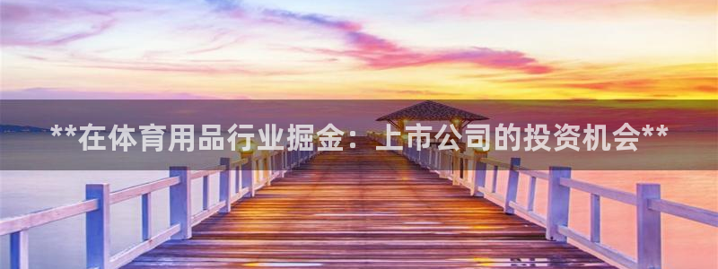 欧陆娱乐平台优势：**在体育用品行业掘金：上市公司的