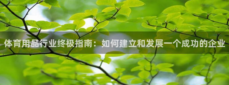 欧陆娱乐是正规平台吗安全吗可信吗：体育用品行业终极指
