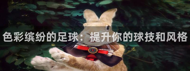 欧陆娱乐能赚钱吗知乎：色彩缤纷的足球：提升你的球技和