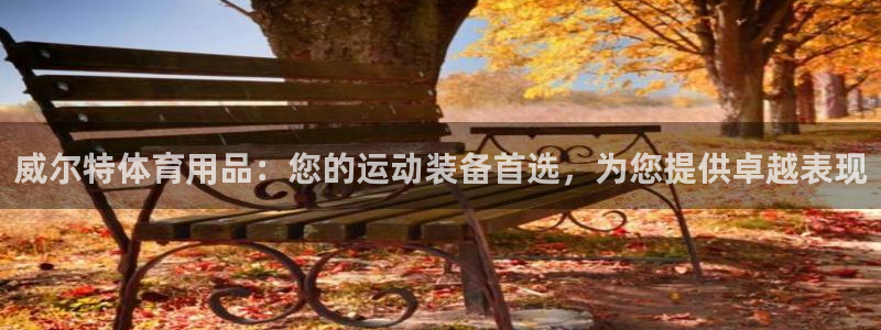 欧陆游戏平台：威尔特体育用品：您的运动装备首选，为您