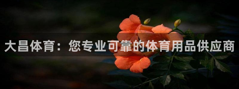 欧陆娱乐是真的假的：大昌体育：您专业可靠的体育用品供