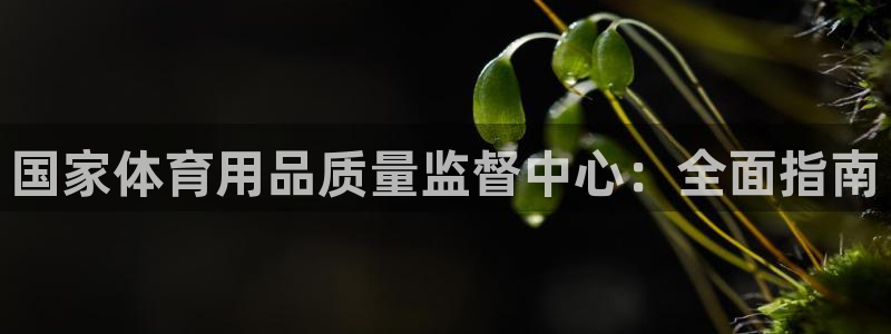 欧陆娱乐官方下载安装：国家体育用品质量监督中心：全面